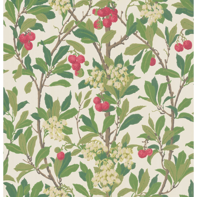 cole & son - strawberry tree - scarlet & ivory - 100/10049.cs.0