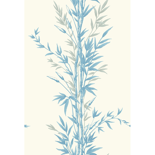 cole & son - bamboo - blue on ivory - 100/5022.cs.0