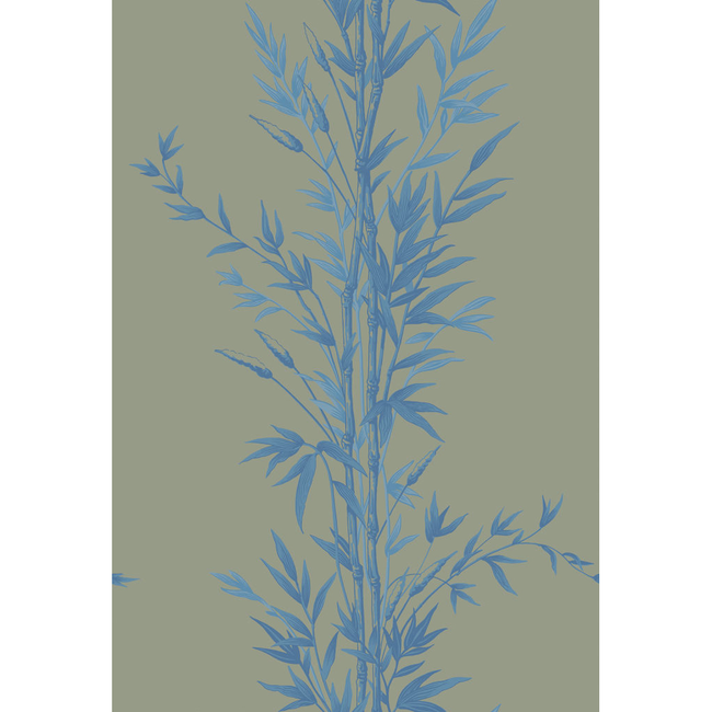 cole & son - bamboo - blue on khaki - 100/5026.cs.0