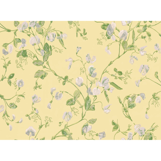 Cole & Son - Sweet Pea - Yellow - 100/6029.CS.0