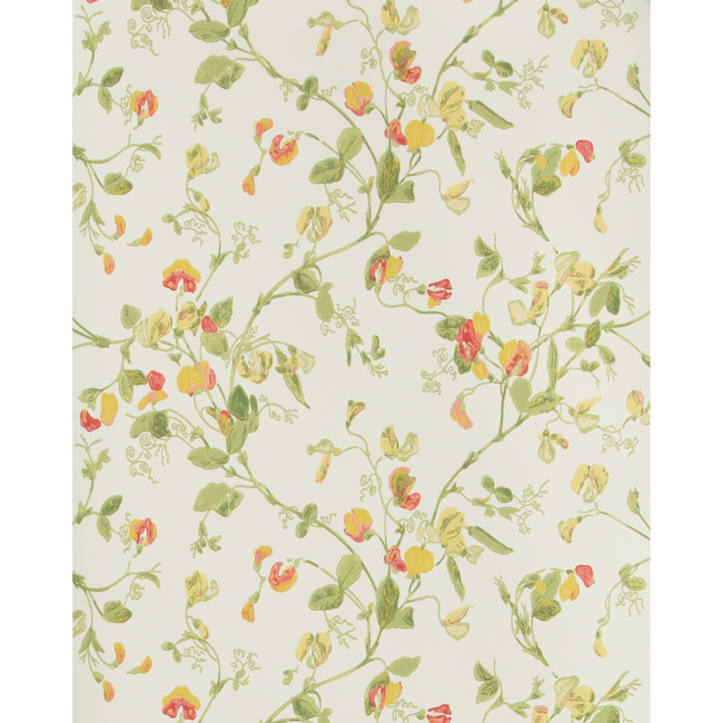 cole & son - sweet pea - pink & yellow - 100/6027.cs.0