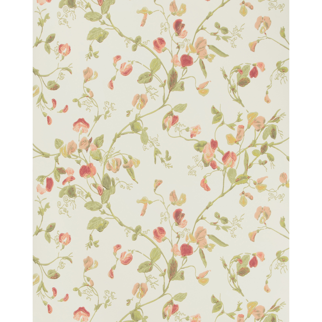 cole & son - sweet pea - pink - 100/6028.cs.0