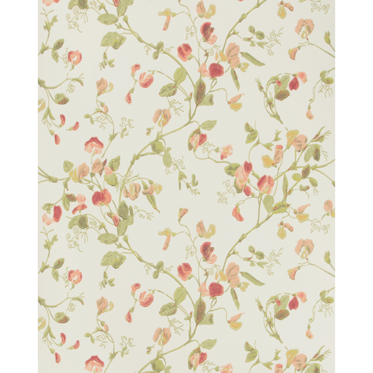 Cole & Son - Sweet Pea - Pink - 100/6028.CS.0