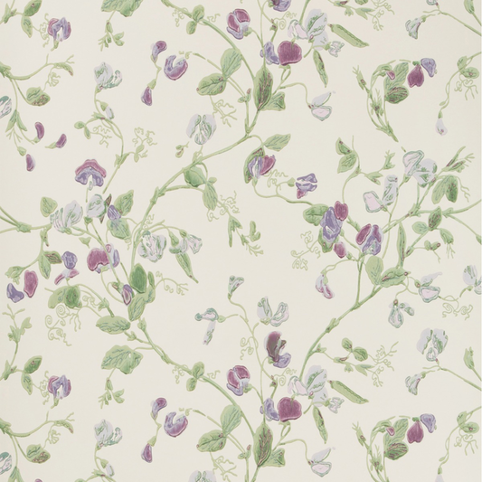 Cole & Son - Sweet Pea - Violet - 100/6030.CS.0