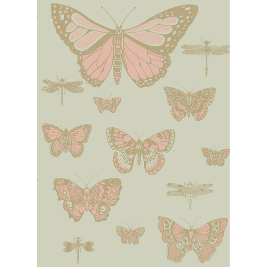 Cole & Son - Butterflies & Dragonflies - Pink On Oliv - 103/15063.CS.0