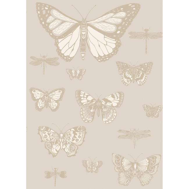 cole & son - butterflies & dragonflies - grey - 103/15064.cs.0