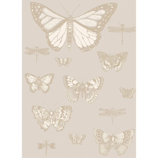 Cole & Son - Butterflies & Dragonflies - Grey - 103/15064.CS.0