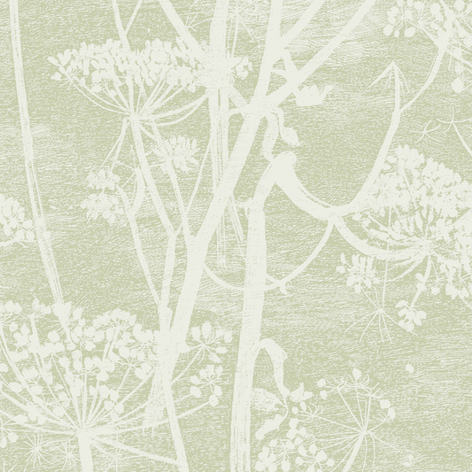 Cole & Son - Cow Parsley - Olive - 112/8029.CS.0