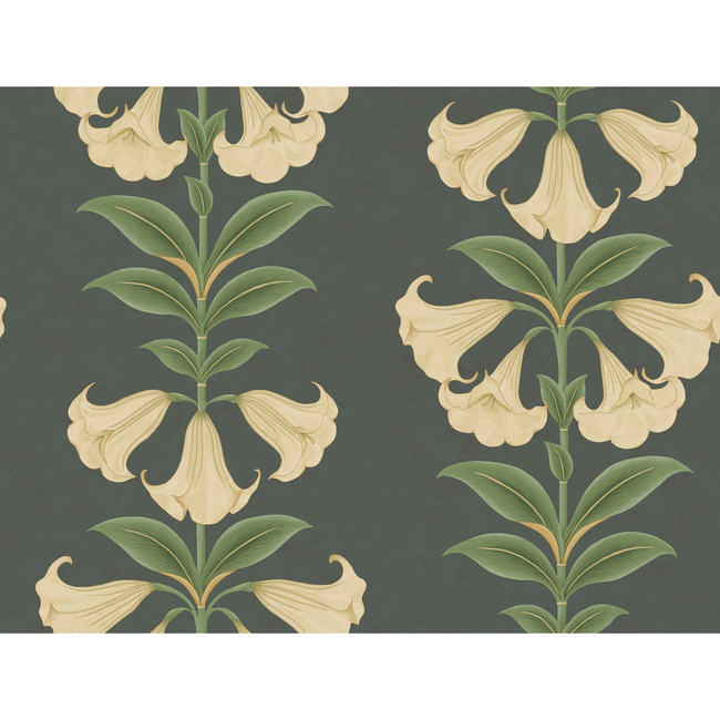 cole & son - angels trumpet - cream/olive green/charcoal - 117/3006.cs.0