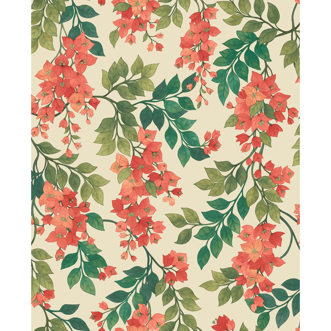 cole & son - bougainvillea - rouge/olive grn/emerald/crm - 117/6016.cs.0