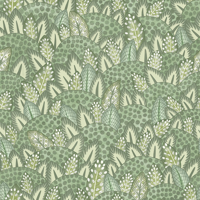 cole & son - zulu terrain - sage & olive - 119/9041.cs.0