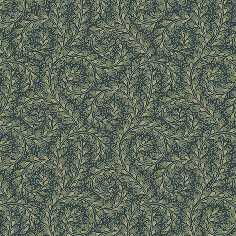 schumacher - wild ferns - 2254