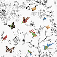 schumacher - birds & butterflies - 2704420