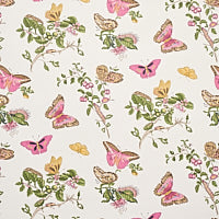 schumacher - Baudin Butterfly - 5010690