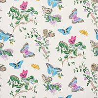 schumacher - baudin butterfly - 5010690