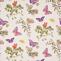 schumacher - baudin butterfly - 5010690