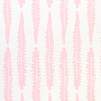 schumacher - fern - 5011110