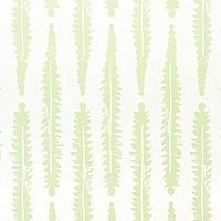 schumacher - fern - 5011110