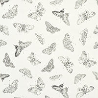 schumacher - burnell butterfly - 5011740