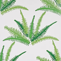 schumacher - canyon ferns - 5012620