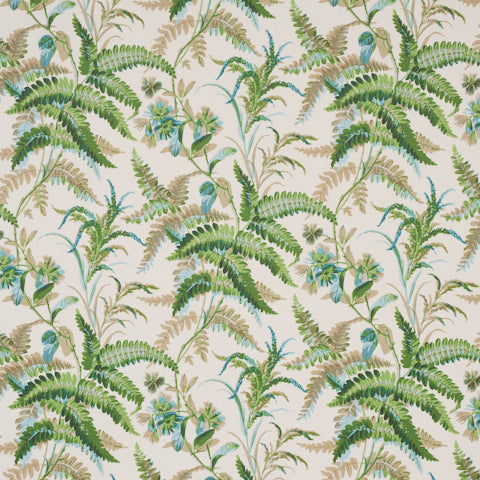 schumacher - myers fern - 5013230