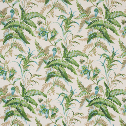 schumacher - Myers Fern - 5013230