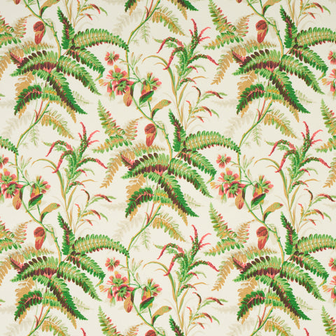 schumacher - myers fern - 5013230