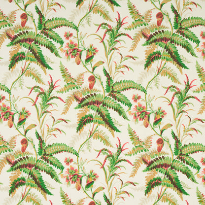 schumacher - Myers Fern - 5013230