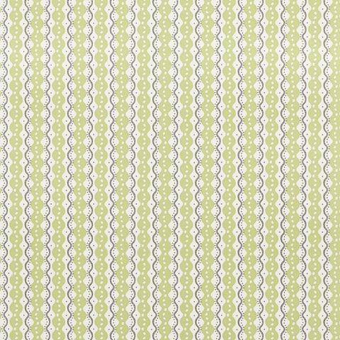 schumacher - centipede stripe - 5015070