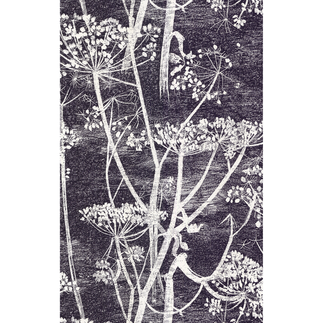 cole & son - cow parsley - white/blk - 66/7046.cs.0