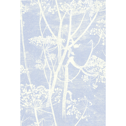 Cole & Son - Cow Parsley - White/Blu - 66/7050.CS.0