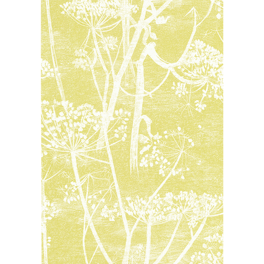 Cole & Son - Cow Parsley - White/Y - 66/7051.CS.0