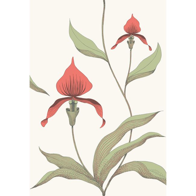 cole & son - orchid - red/white - 95/10054.cs.0