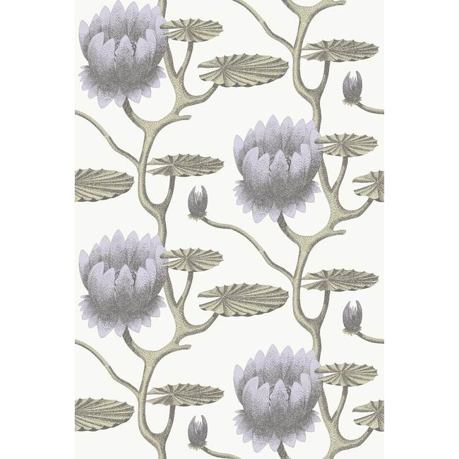 cole & son - summer lily - lilac/grn/wt - 95/4023.cs.0