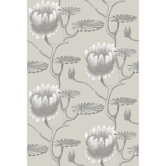 Cole & Son - Summer Lily - Taupe/White - 95/4025.CS.0