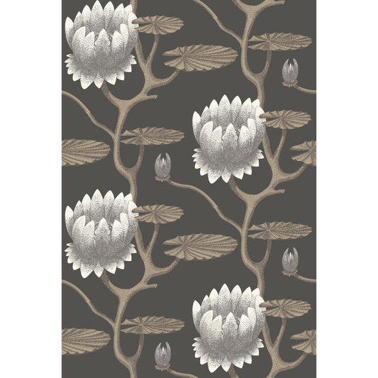 Cole & Son - Summer Lily - Blk/Wht/Gold - 95/4026.CS.0