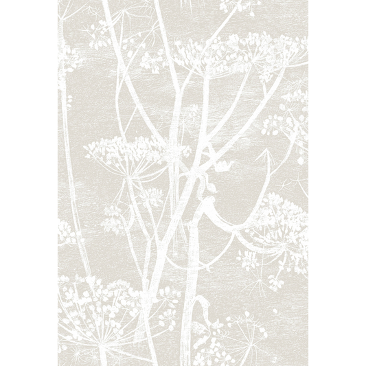 Cole & Son - Cow Parsley - Linen/White - 95/9051.CS.0