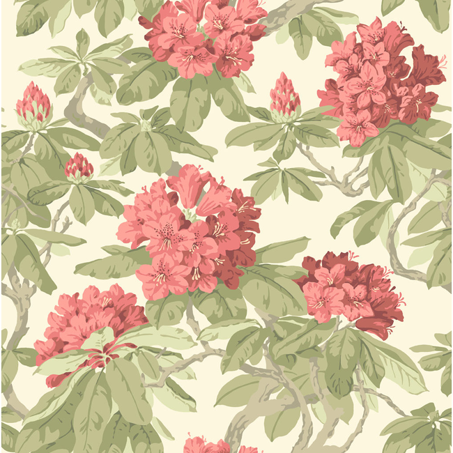 cole & son - bourlie - coral - 99/4020.cs.0