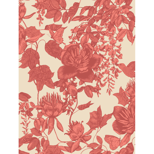 Cole & Son - Tivoli - Coral - 99/7033.CS.0