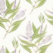 at23134 | winter bud, willow tree - anna french wallpaper