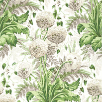 at24538 | dahlia, devon - anna french wallpaper