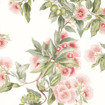 at24550 | camellia garden, devon - anna french wallpaper