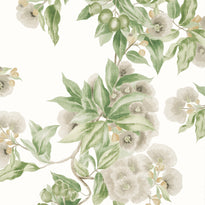 at24551 | camellia garden, devon - anna french wallpaper