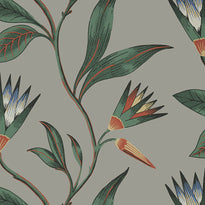 at9616 | cleo vine, savoy - anna french wallpaper