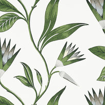 at9622 | cleo vine, savoy - anna french wallpaper