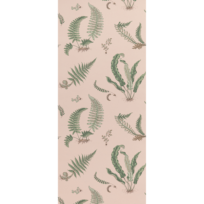 ferns - blush - g p & j baker - bw45044.11.0