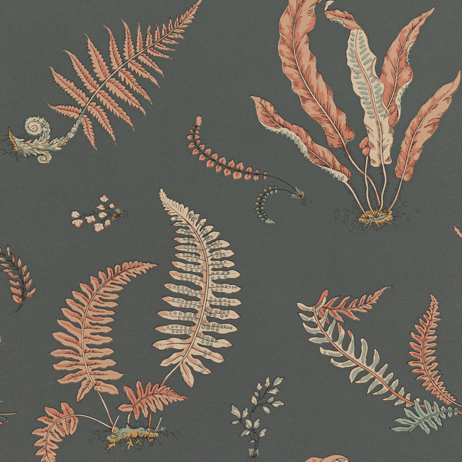 ferns - coral/charcoal - g p & j baker - bw45044.13.0