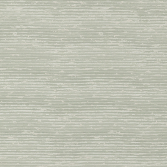 Grasscloth - Soft Green - G P & J Baker - BW45049.6.0