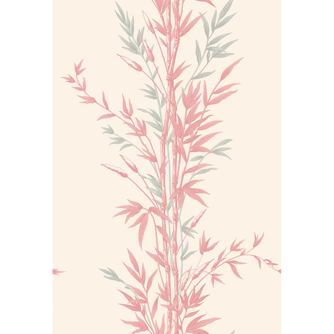 cole & son - bamboo - pink - 100/5024.cs.0