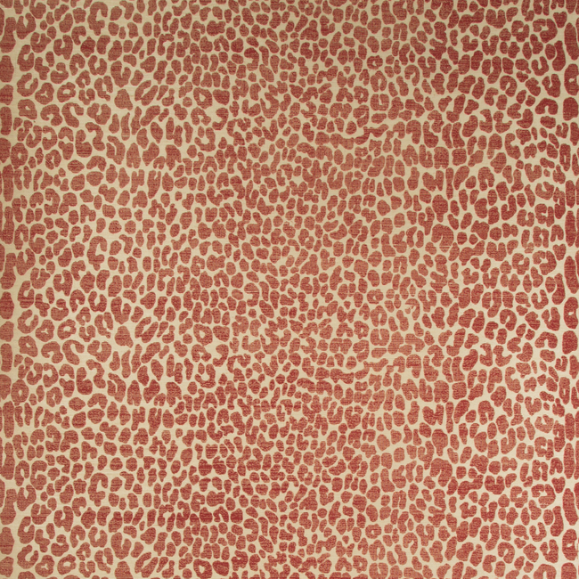 ocicat paper - red